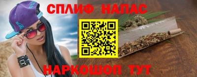 гашик Шахты